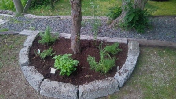 サークル花壇 北のrakuen荘オーナーのブログ