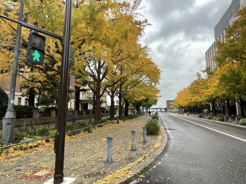 5815A971-2A52-4EBD-96C6-312FE78348AD