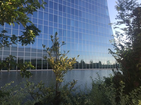 557F336F-B916-4AE0-9A51-B3EA698E6F36