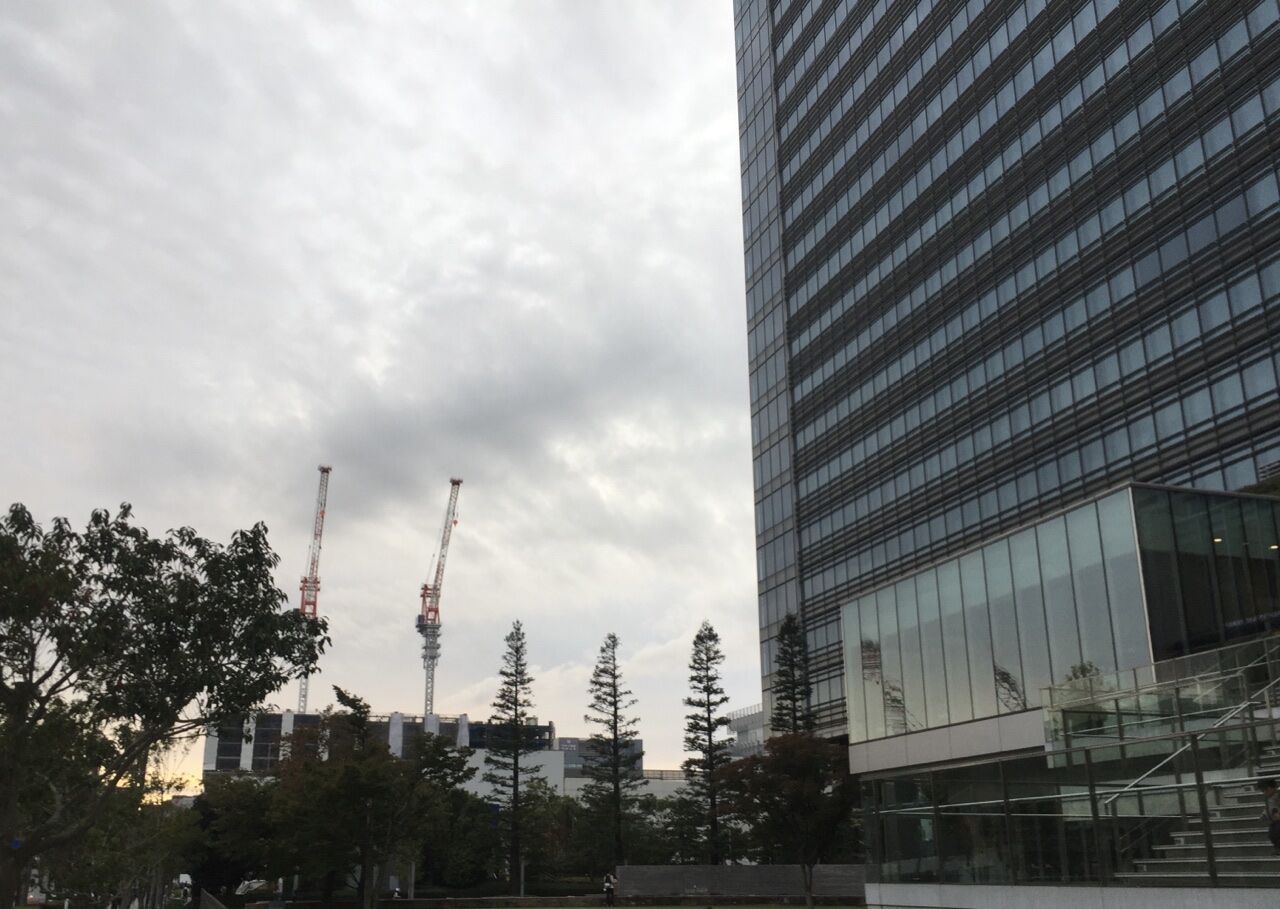 立ち上がり始めたlgビル みなとみらい大通り周辺のビル建設 みなとみらい線周辺散歩日記