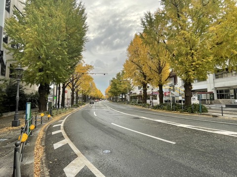 987B3E26-E772-4F70-BAF7-277B4C3447A8