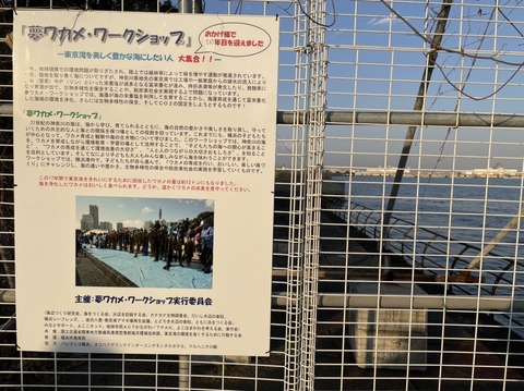 802C1BF7-E503-4486-AD54-E0538A5A9DE7