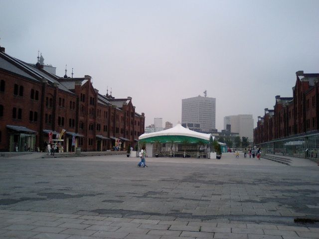 イメージ 6