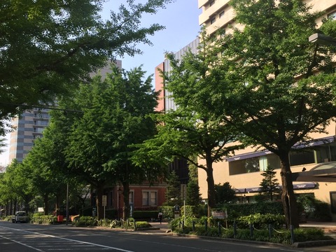 4E5B731B-2C7F-4A75-A491-39DB6E84BC92