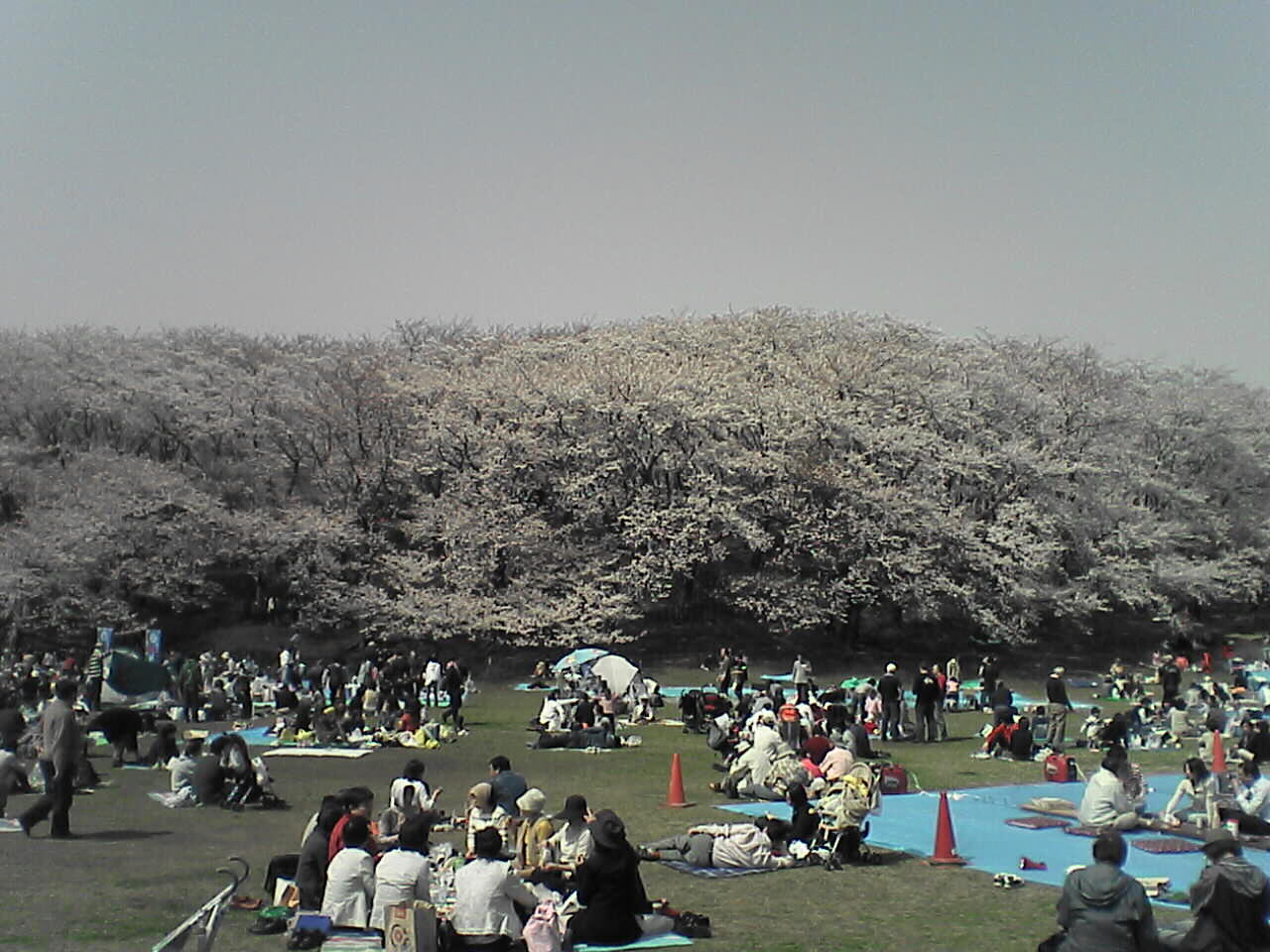 イメージ 1