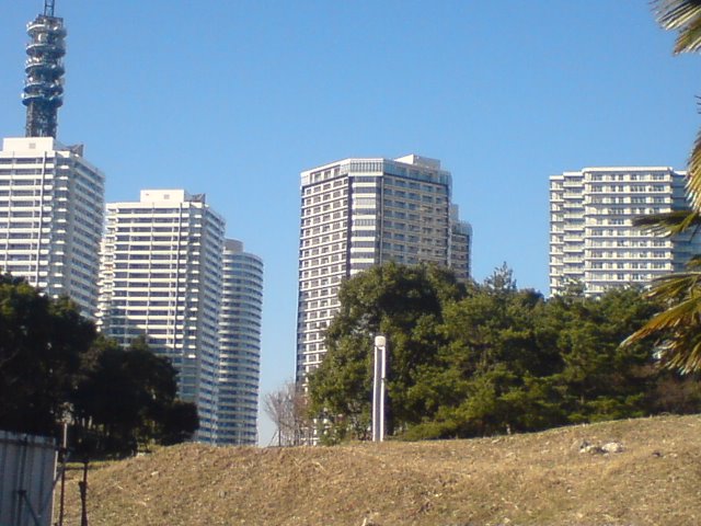 イメージ 1