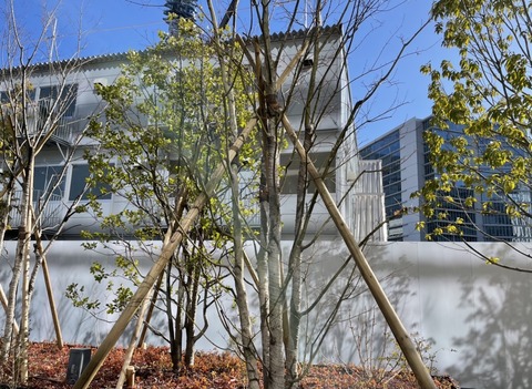 5FDEA60C-96B4-4E85-A5C4-44EC322D28C5