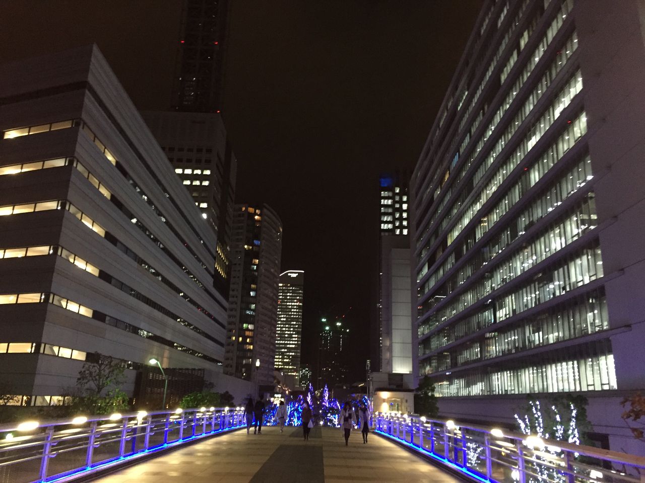 イメージ 6