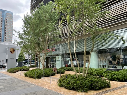 13EB6123-2298-40F6-B116-95EC856F0A8D