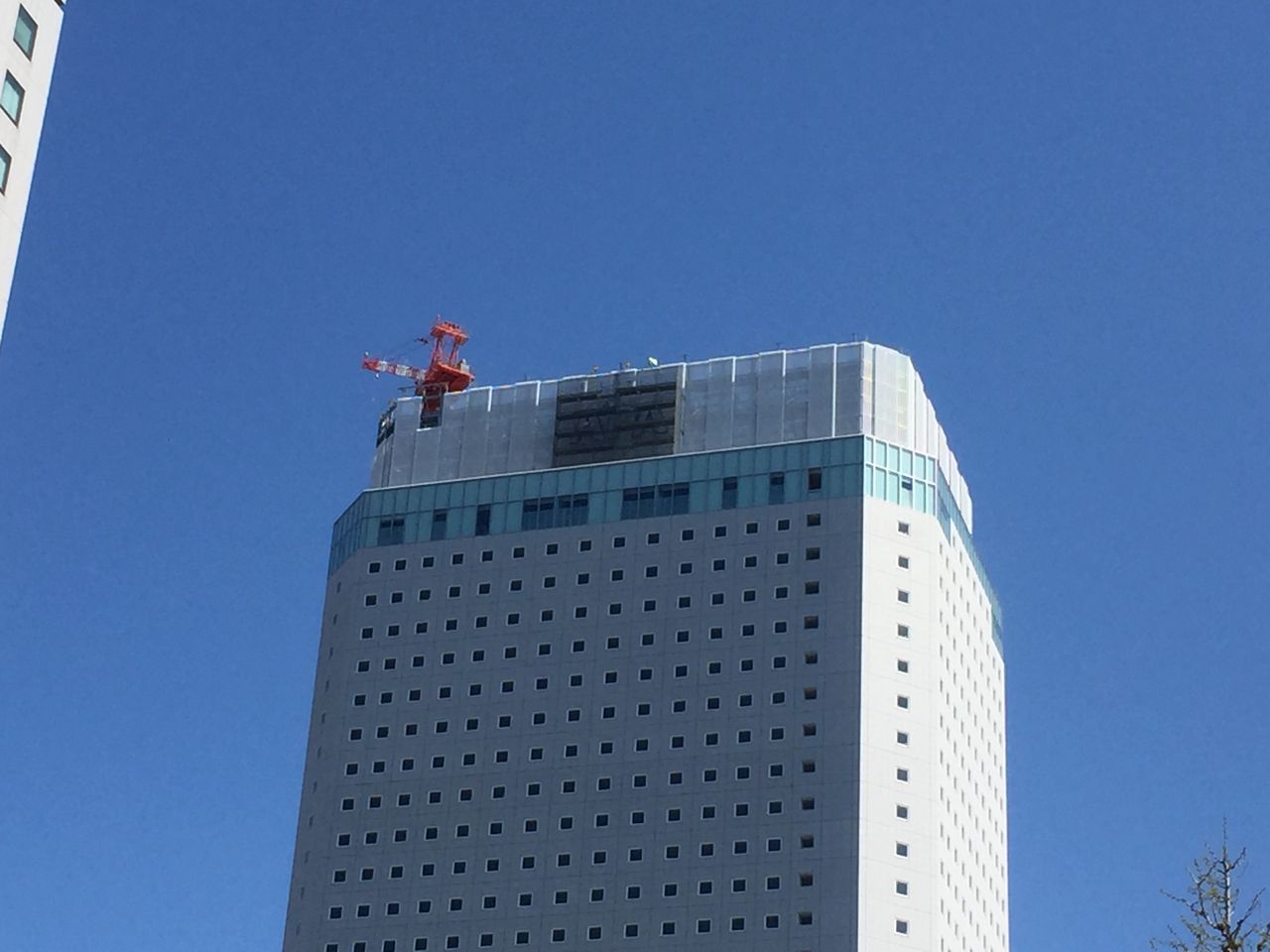 イメージ 5
