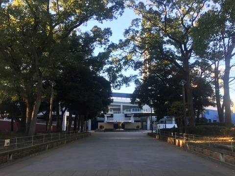 26F6FC85-A123-4A53-82B5-DA901B6DAE13