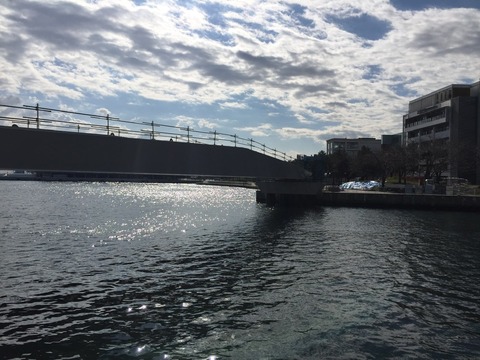 C91ECA55-BF62-491B-AD89-949C93B361ED