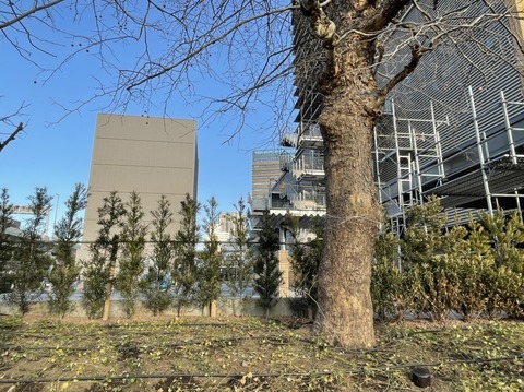 28F11881-C7B8-4A6D-84A1-19CCB4A5676A