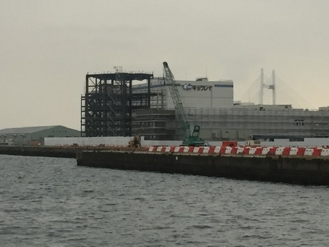 1A415588-1FF8-4775-BD16-98A39C1C91FB