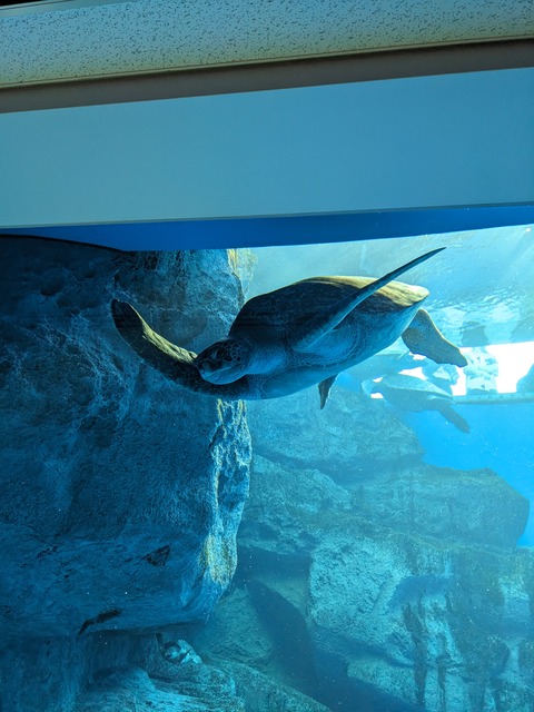 PXL_20241013_074953554