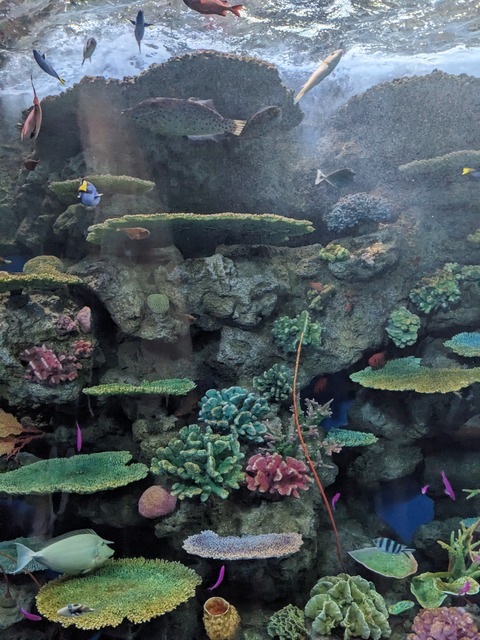 PXL_20241013_073829445