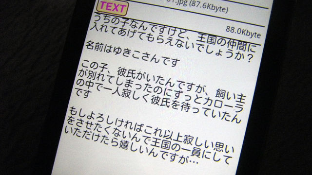 010 ゆきこさんが王国にきたでこ ちゅ なんてな王国 おうこくのまいにち
