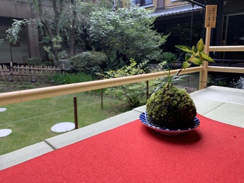 tachiokaya.sample102