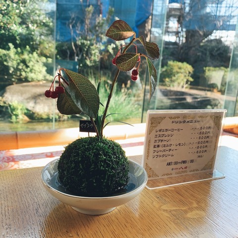 tachiokaya.2022年末127
