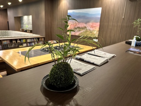 tachiokaya-ajisai202306126