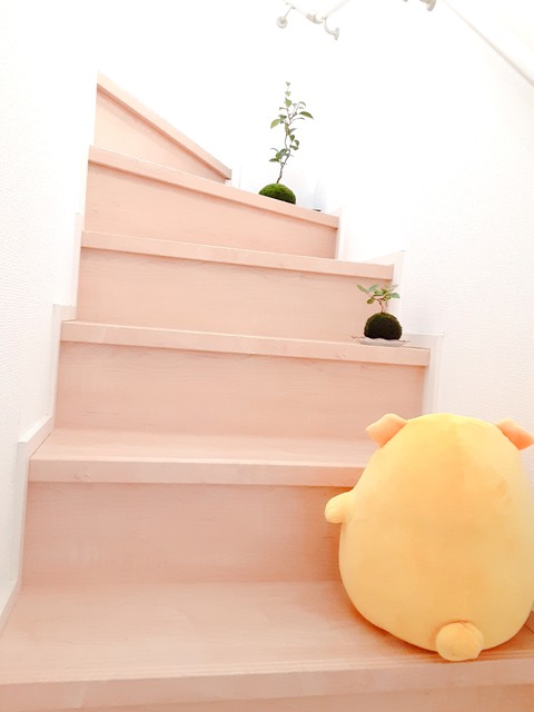 苔玉 太刀岡屋