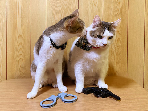 3312