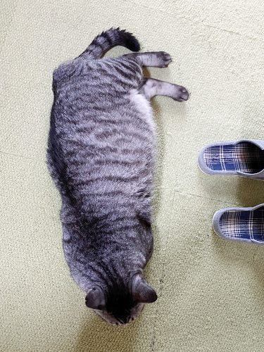 3810
