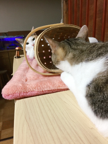 5350