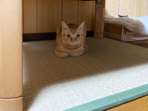 3793