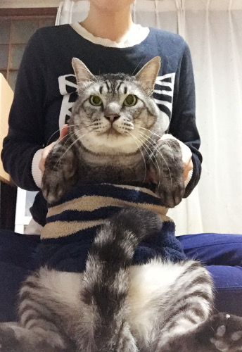 1336