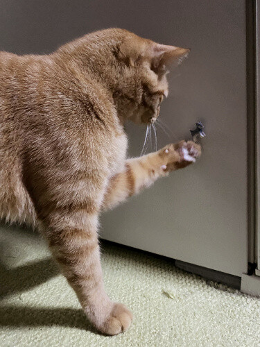 6785