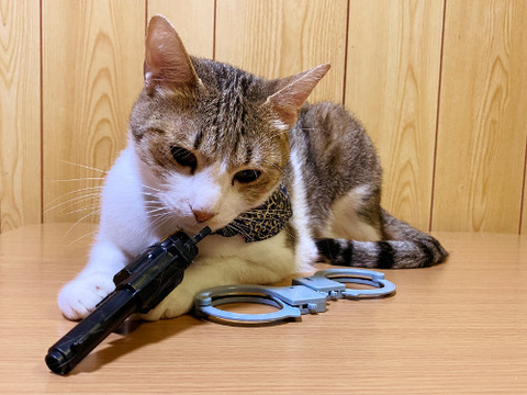 3330