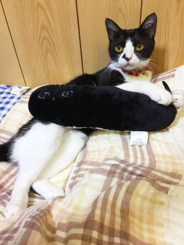 792
