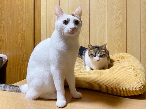 5006