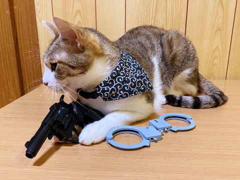 3331