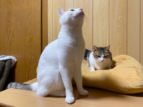 5007