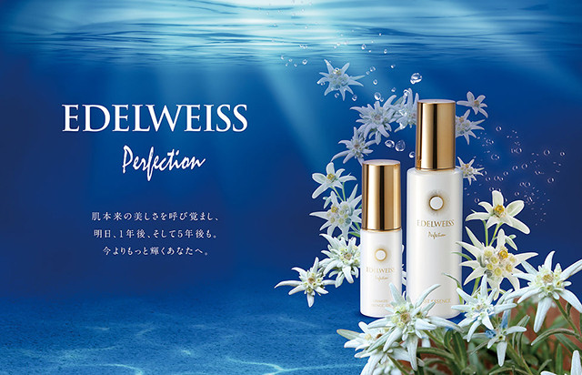 2021年廃番】 EDELWEISS エーデルワイス パーフェクション セット