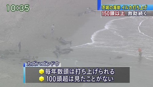 jpg-large