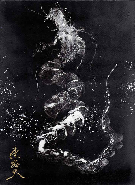 北の玄武 諏訪天龍 黒龍 天下泰平