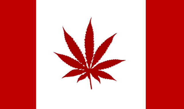 大麻はアルコールに比べると約114分の1の害しかない 天下泰平