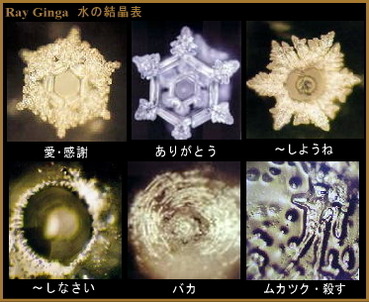 20140514034614f76