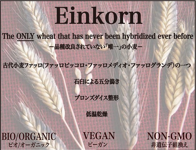 品種改良されていない 唯一 の小麦から生まれたパスタ 天下泰平