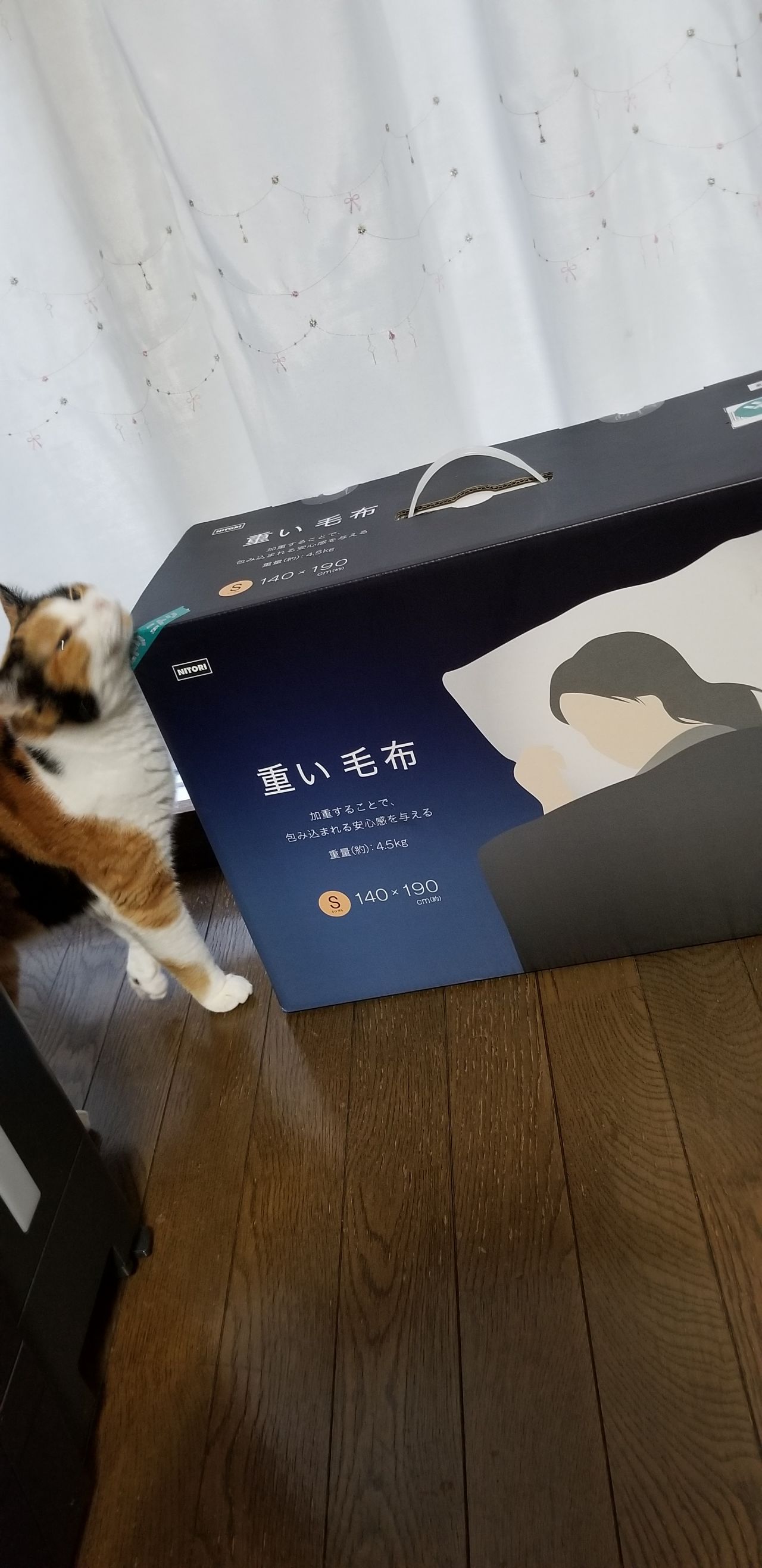 職場の先輩に生まれてこのかた人生で1度もカリオストロの城観たことないって言われたのが今週のハイライト 昴のブログ 職場の先輩に生まれてこのかた人生で1度もカリオストロの城観たことないって言われたのが今週のハイライト 昴のブログ