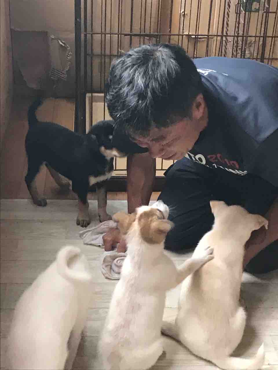 ドッグトレーナー パグ渡辺 娘さん 美里ちゃん ありがとう Life Of Dog 一緒がいいね ドッグトレーナー パグ渡辺 娘さん 美里ちゃん ありがとう Life Of Dog 一緒がいいね