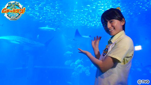 t2015_07_31_a_muchamitasu02