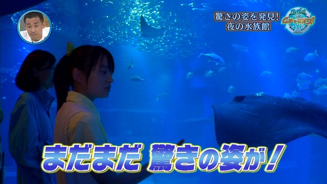 t2015_07_14_a_0040