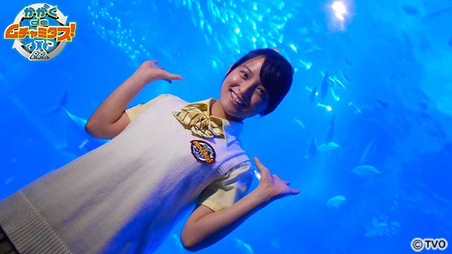 t2015_07_31_a_muchamitasu03
