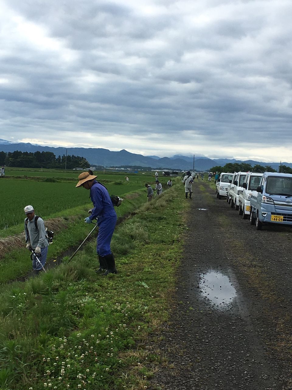 6月23日の草刈り とある田舎のあぜ道ブログ 6月23日の草刈り とある田舎のあぜ道ブログ