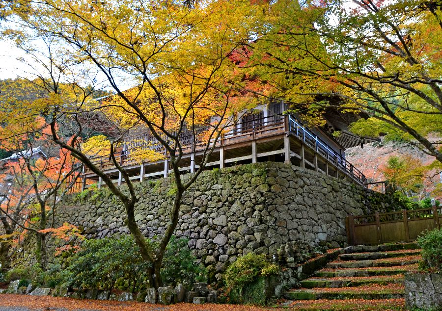 両子寺の紅葉 日本共産党 豊後高田市議会議員 大石忠昭の情熱ブログ