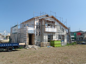 ����ƹ��